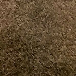 Meet your Posher, Ronnie